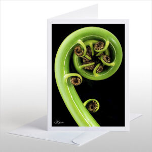 Koru: Card