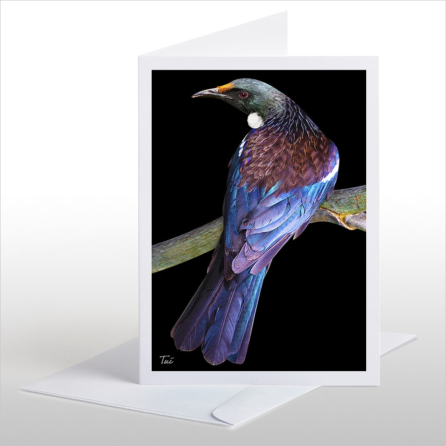 Tui: Card