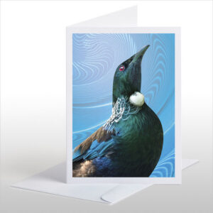 Tui Portrait