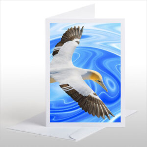 Soaring Gannet