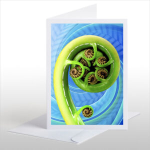 Koru