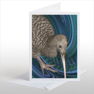 Great Spotted Kiwi