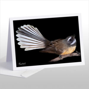 Fantail: Card