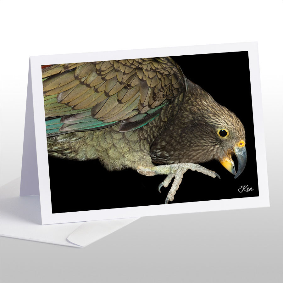 Kea