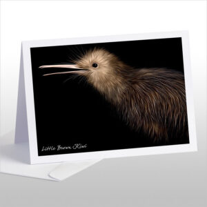 Little Brown Kiwi