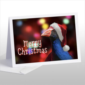 Christmas Cards