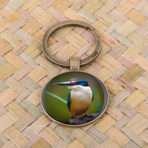 Sacred Kingfisher