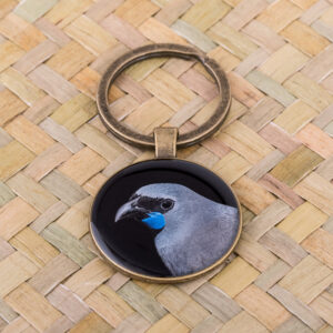 Kokako