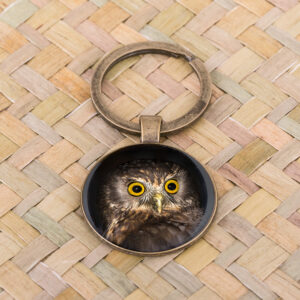 Morepork (Ruru)