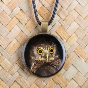 Morepork (Ruru)