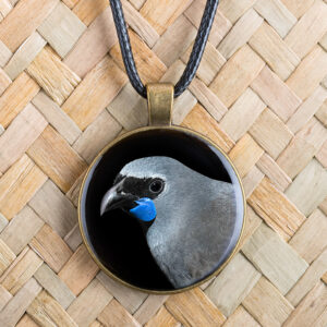 Kokako