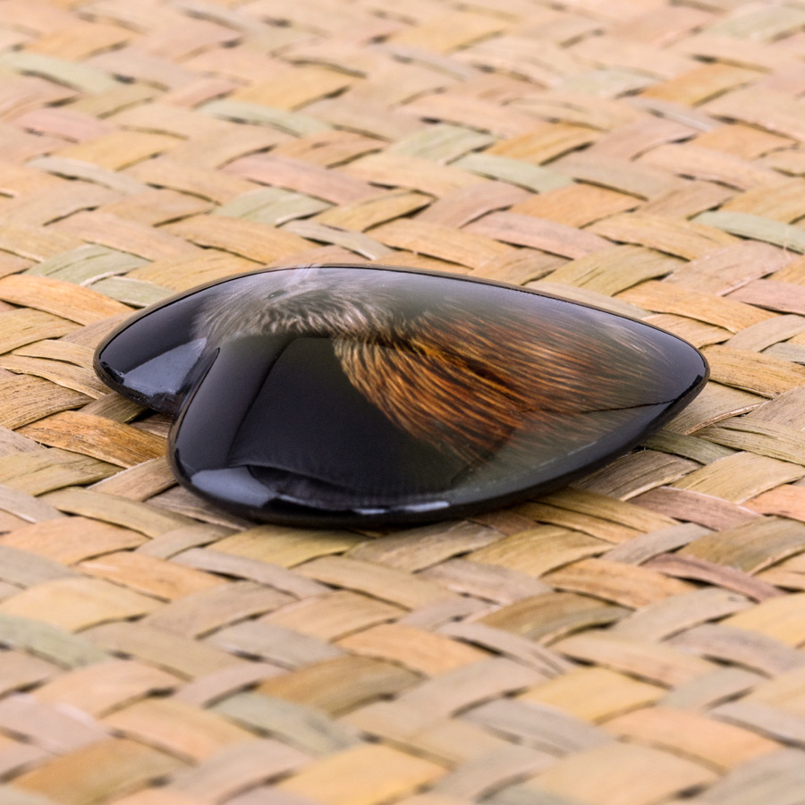 Kiwi - Image 3