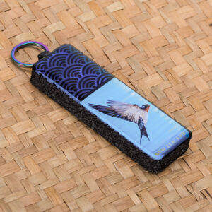 Welcome Swallow