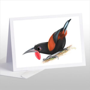 Saddleback, Tieke