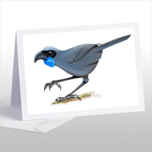 Kokako Blue Wattled Crow