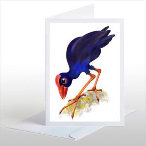 The Pukeko