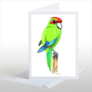 Kakariki, Red-crowned Parakeet