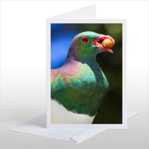 Kereru and Karaka berry