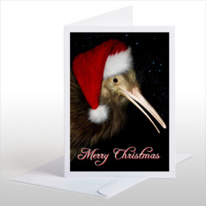 Christmas Kiwi