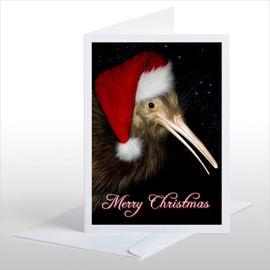 Christmas Kiwi