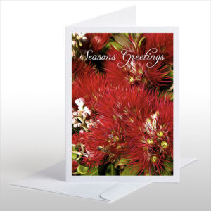 Pohutukawa (Seasons Greetings)
