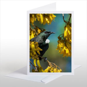 Love our Birds