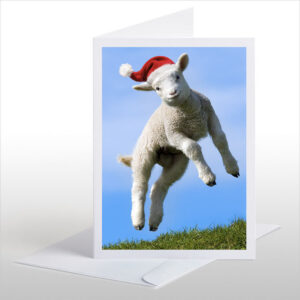 Leaping Lamb Christmas