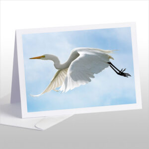 The flight of the White Heron