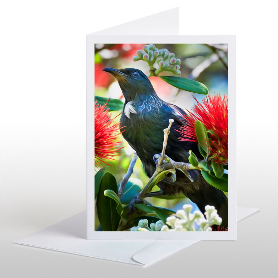 Tui in Pohutukawa