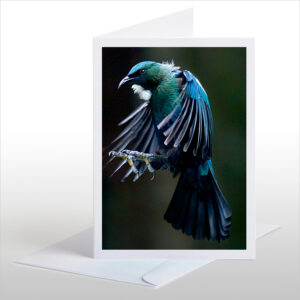 Tui Descending