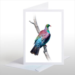 Kereru Lookout