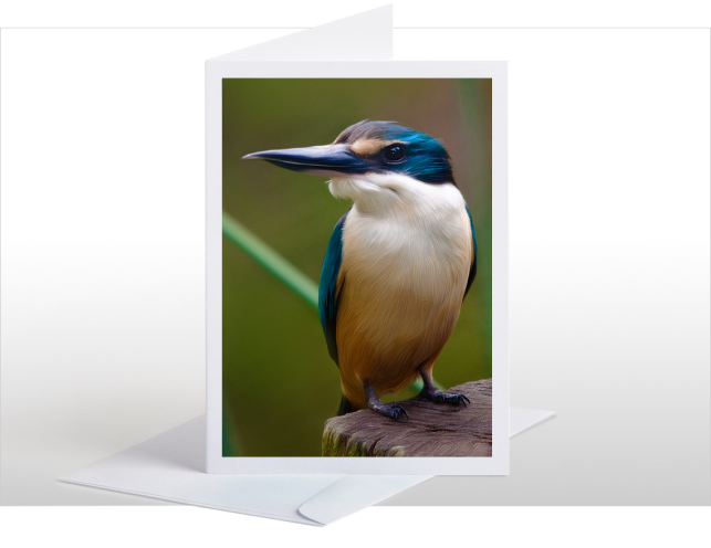 Home_Kingfisher